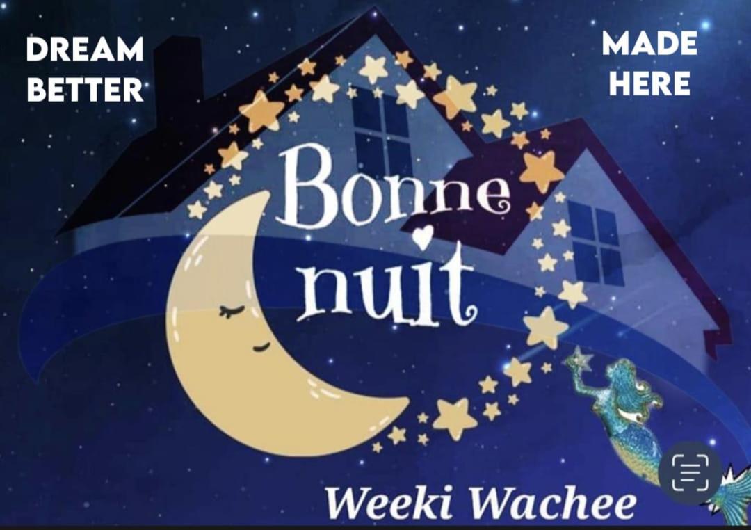Vila Bonne Nuit Weeki Wachee Exteriér fotografie