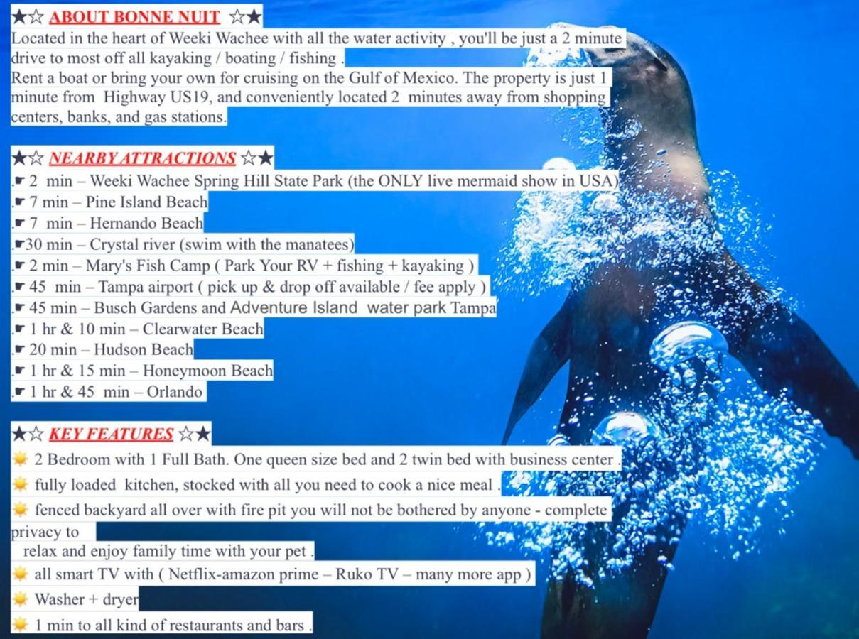 Vila Bonne Nuit Weeki Wachee Exteriér fotografie