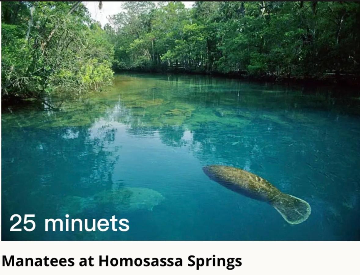 Vila Bonne Nuit Weeki Wachee Exteriér fotografie