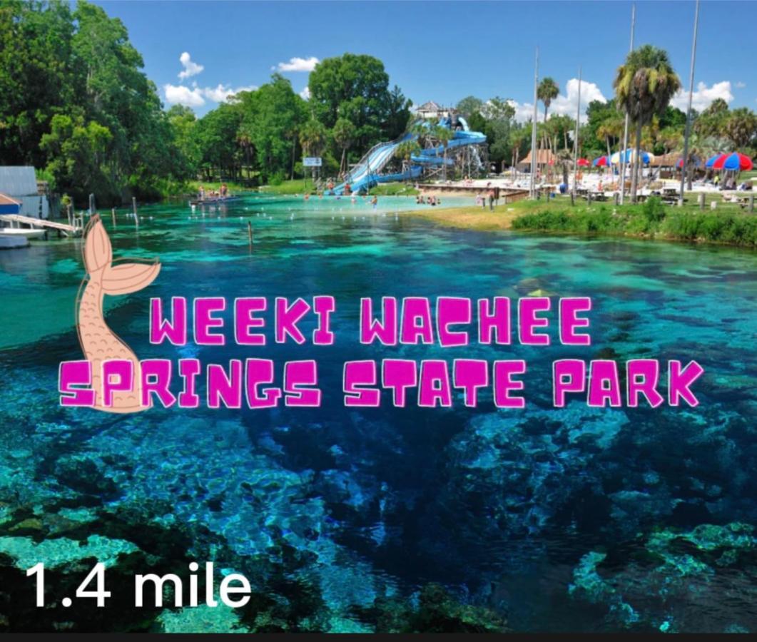 Vila Bonne Nuit Weeki Wachee Exteriér fotografie